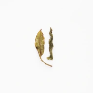 Pomelo Blossom Aroma from Spirit Tea