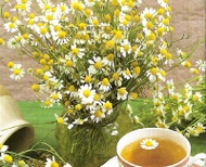Organic Chamomile (Camomila 100% da agricoltura biologica) from L'Angelica Istituto Erboristico