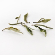 Arya Pearl First Flush White Darjeeling (Organic) from Canton Tea Co