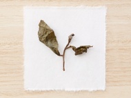 Nantou Dark from Song Tea & Ceramics