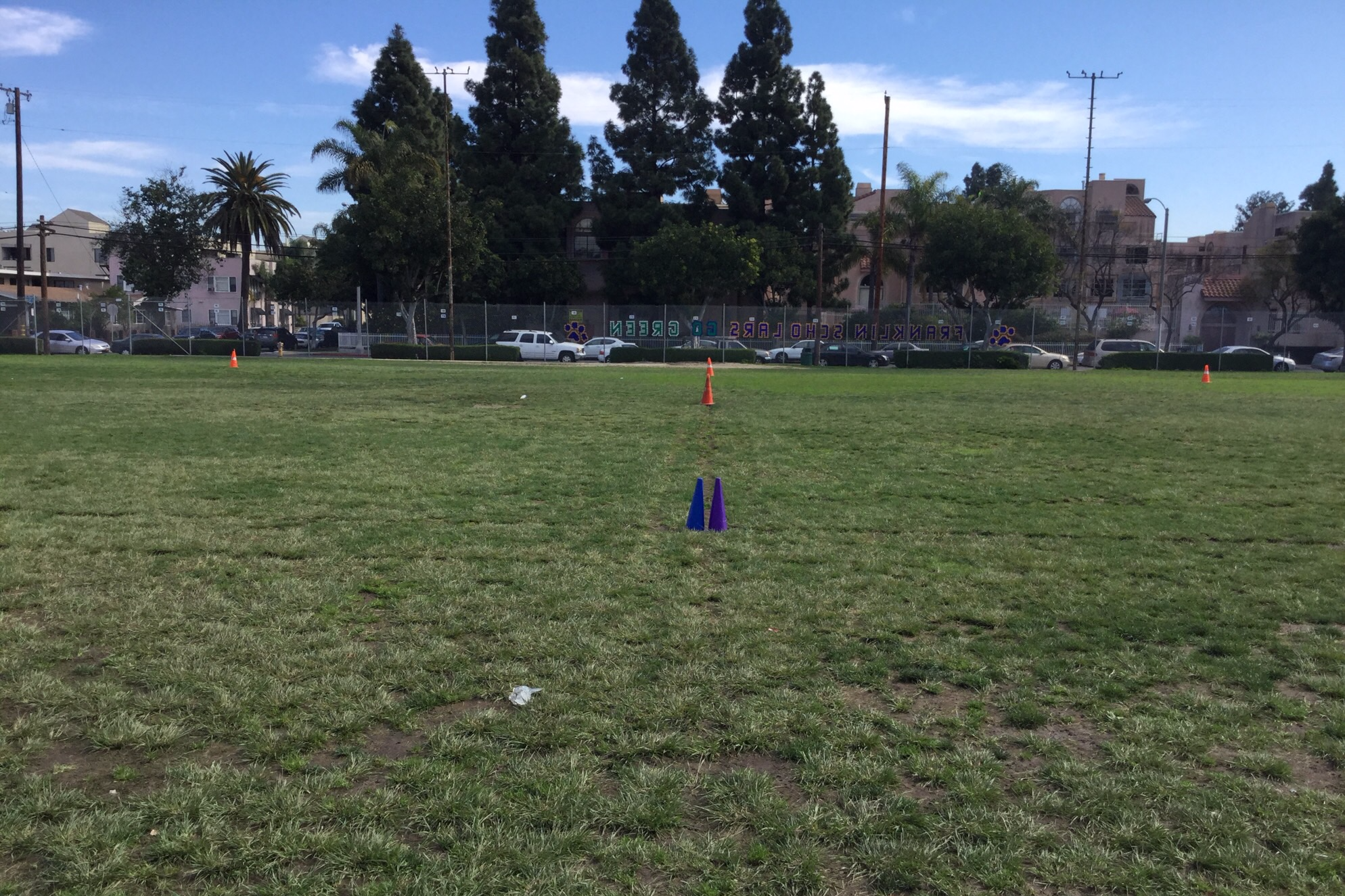 Field