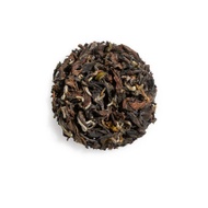 White Tip Oolong from Tazo