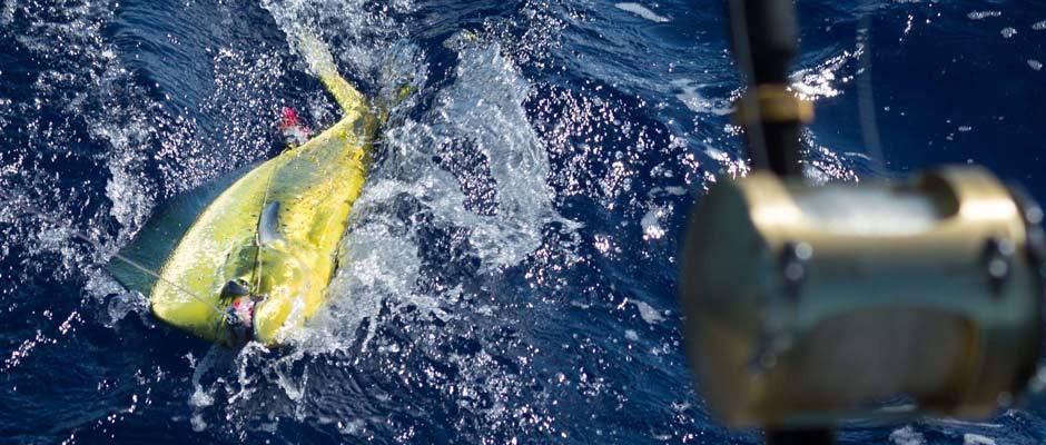 Private Fishing Charters