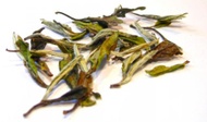White Peony (Bai Mu Dan) from Chah
