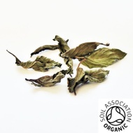 Organic Whole Leaf Peppermint from Canton Tea Co