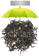 Premier Phoenix Oolong from Stir Tea
