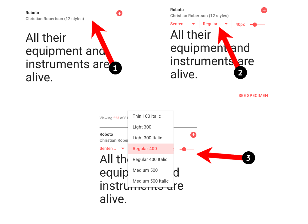 Google Fonts Roboto 400 selected