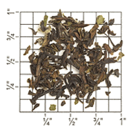 Orthodox BOP Darjeeling from Upton Tea Imports