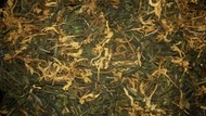 Honeysuckle Yellow from Liquid Proust Teas