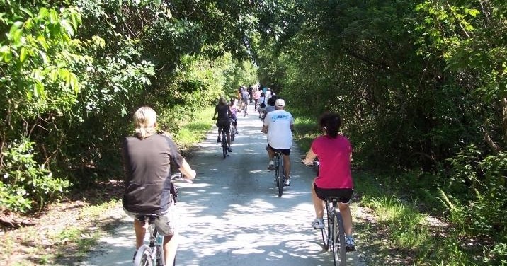 Old Naples Guided Pedal Bicycle Tour photo 1