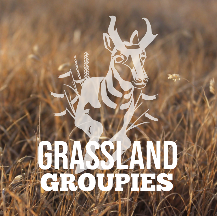 Grassland Groupies logo