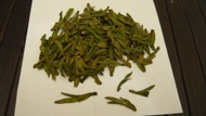 2010 Pre-QingMing 800m High Mountain Yuezhou Long Jing from Life In Teacup