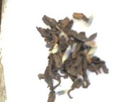 French lavender puerh from Tea Gallerie