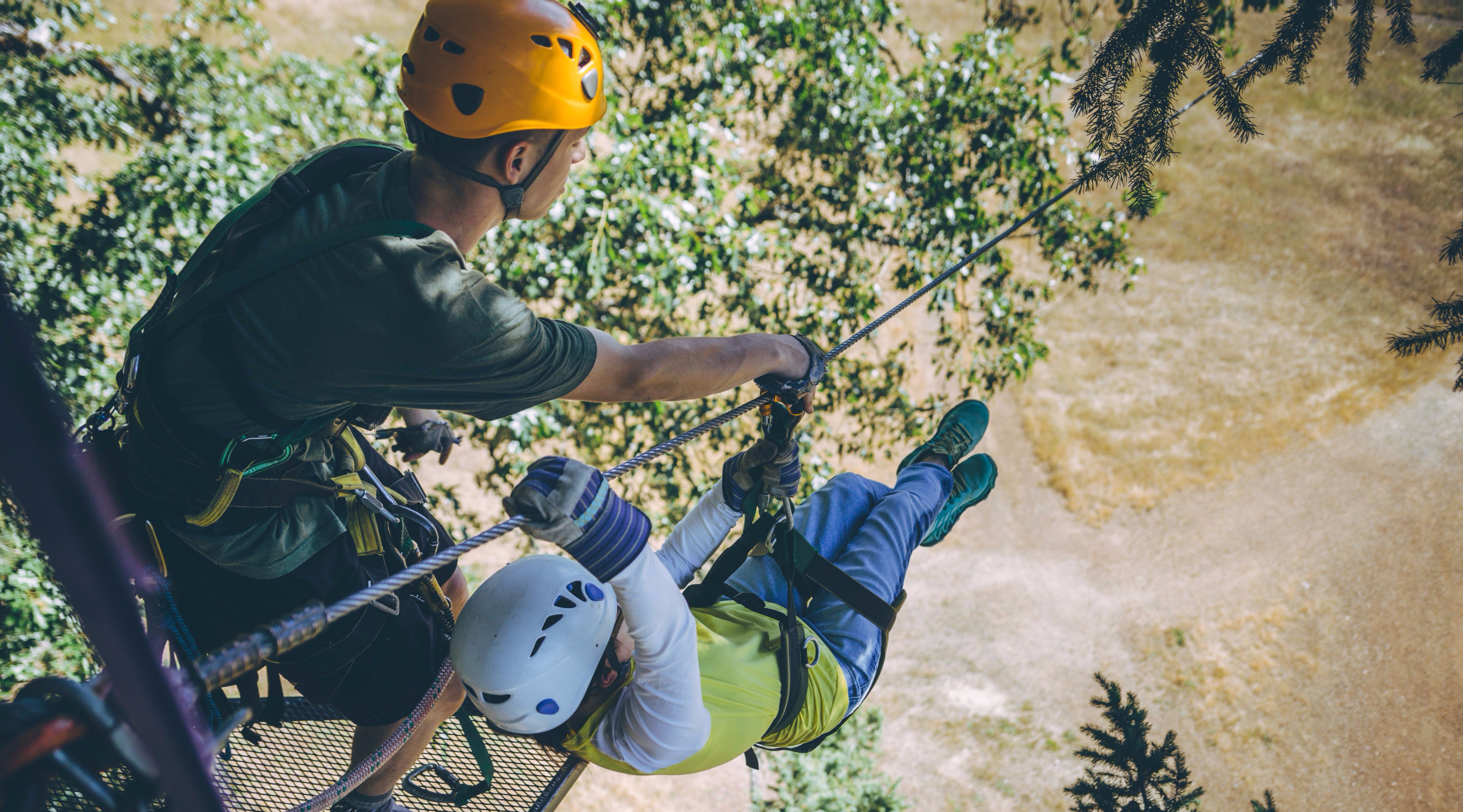 Treehouse Ziplining Adventure In Cave Junction Or Book Tours