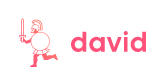 David IVS logo