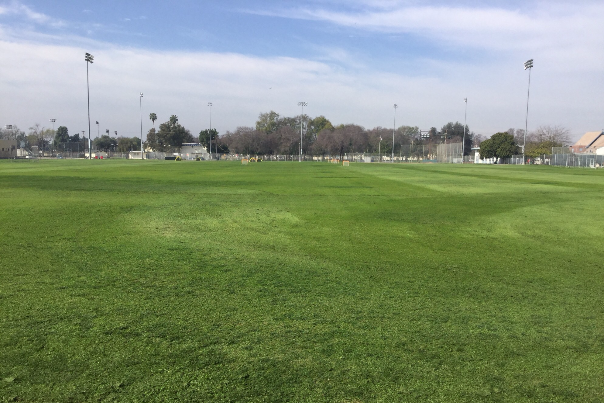 Field - Sundays only