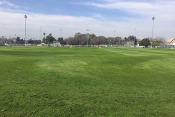 Field - Sundays only