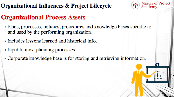 the organizational process