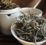 Glenburn Silver Needle from Butiki Teas