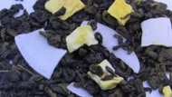 Coconut Isle from 52teas