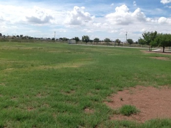Playfield