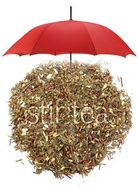 Ginger Rooibos from Stir Tea