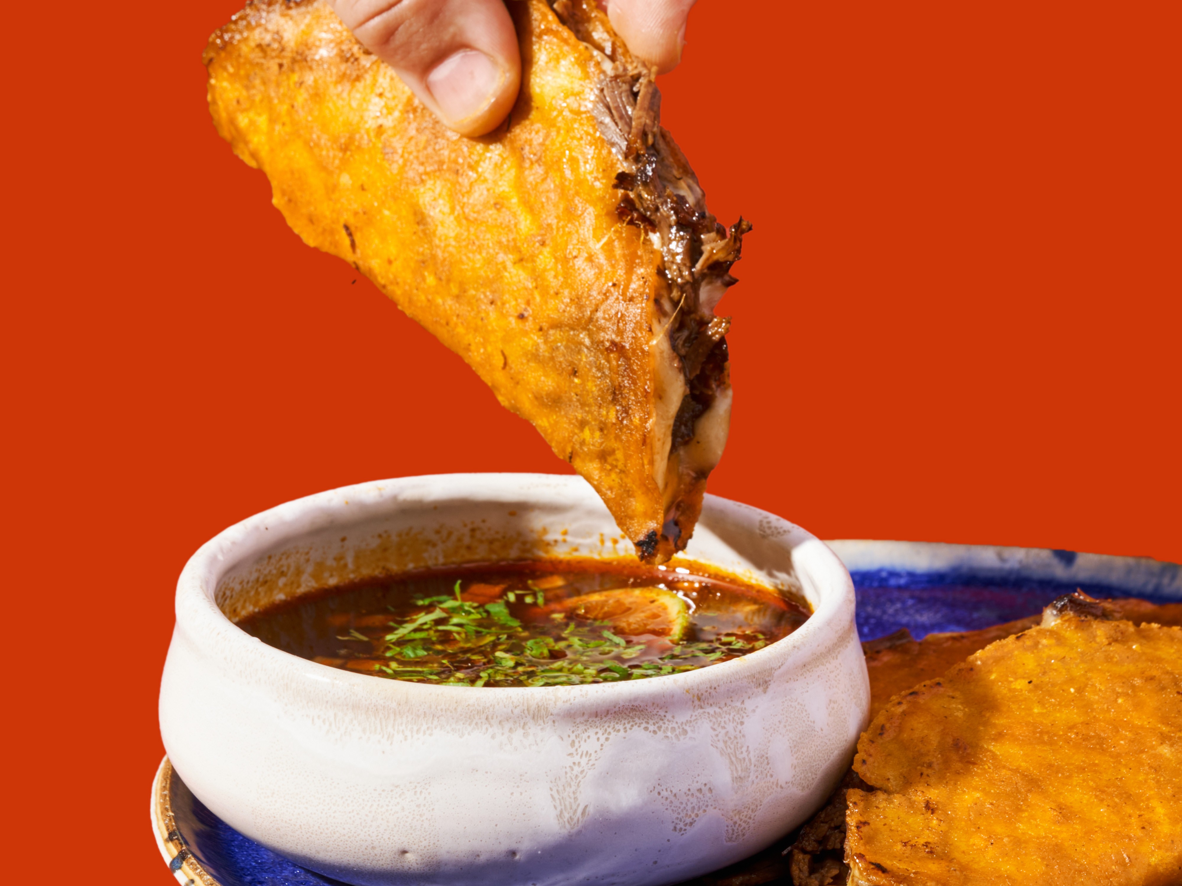 Tijuana-Style Beef Birria