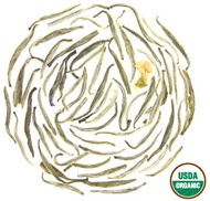 Silver Needle Jasmine from Rishi Tea