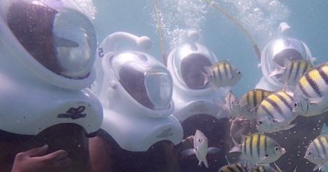 Sea Trek