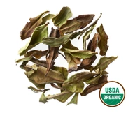 White Peony from Golden Moon Tea