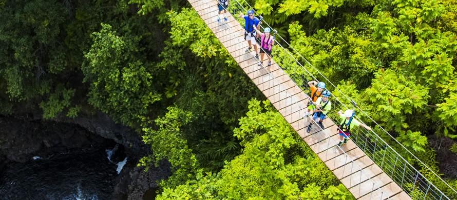 Umauma Falls 9-Line Zipline Tour photo 3