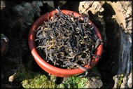 North Winds from Whispering Pines Tea Company