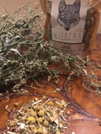 Guide Me To Sleep from Wild Fox Tea & Apothecary