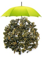Jade Oolong from Stir Tea