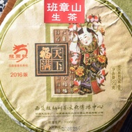 Longyuanhao 2016 Banzhang Sheng from Verdant Tea