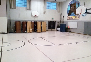 Multipurpose/Commons