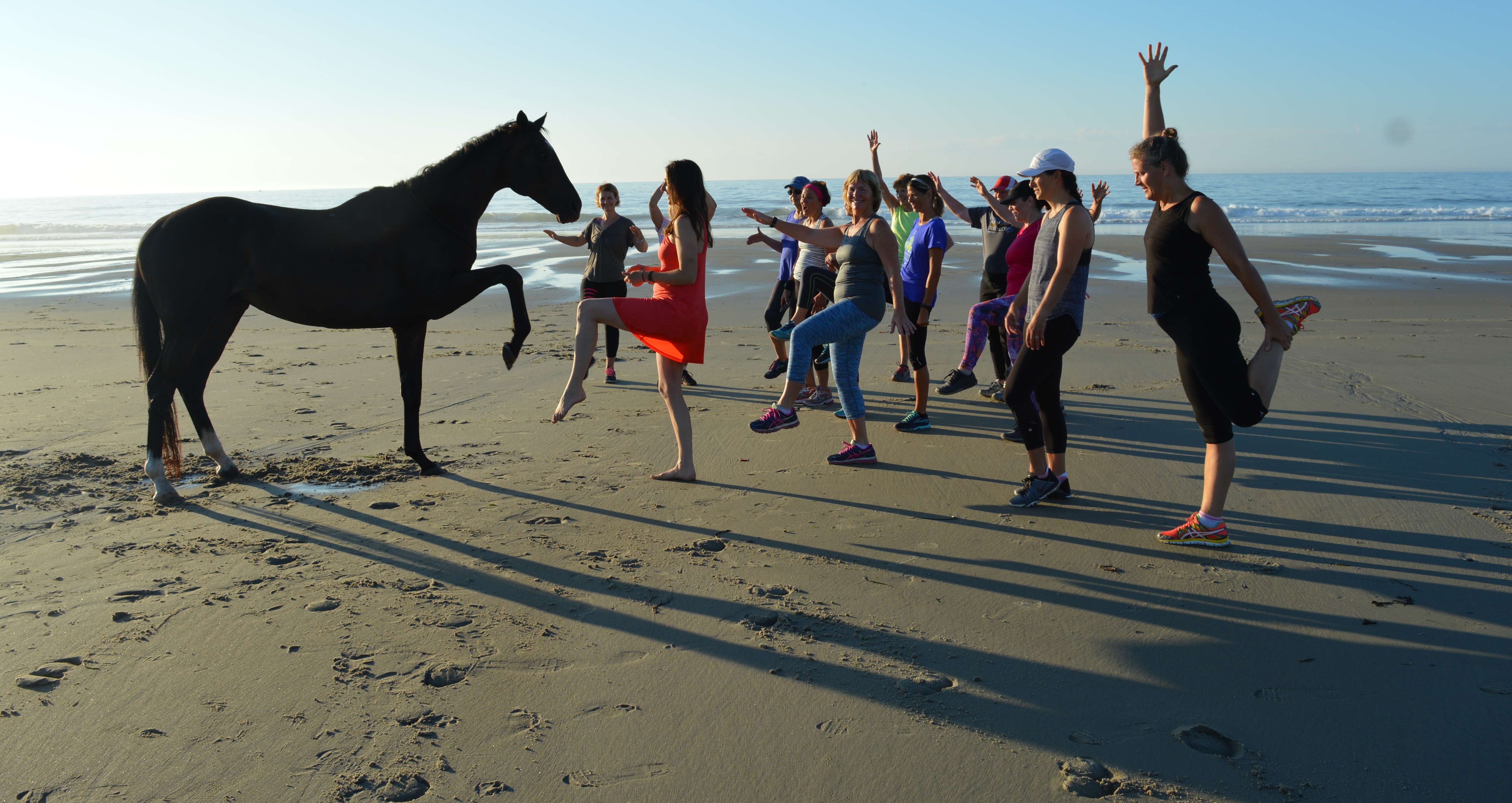 Product image for Harmony Horsemanship Membership