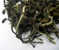 2014 Ting Ling Summer Rose second flush darjeeling from Imperial Teas of Lincoln