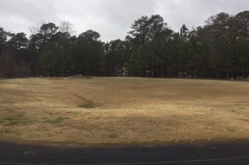 Field 