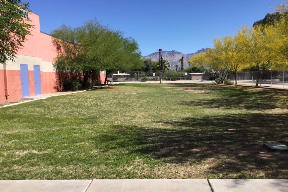 Front Field and Playground