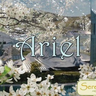 Serenitea: Ariel from Adagio Custom Blends