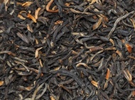 Panyong Golden Needle from Tea Horse