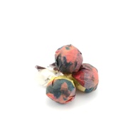 2021 Coyote Minis from white2tea