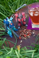 Organic Red Delicious from The Rabbit Hole Organic Tea Bar