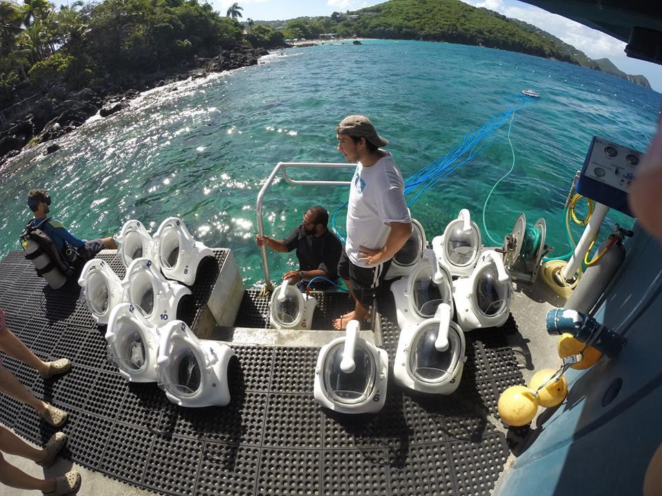 Sea Trek photo 3