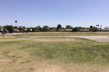 Field