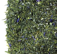 Sencha Kombucha Plum from Wiseman Tea Company