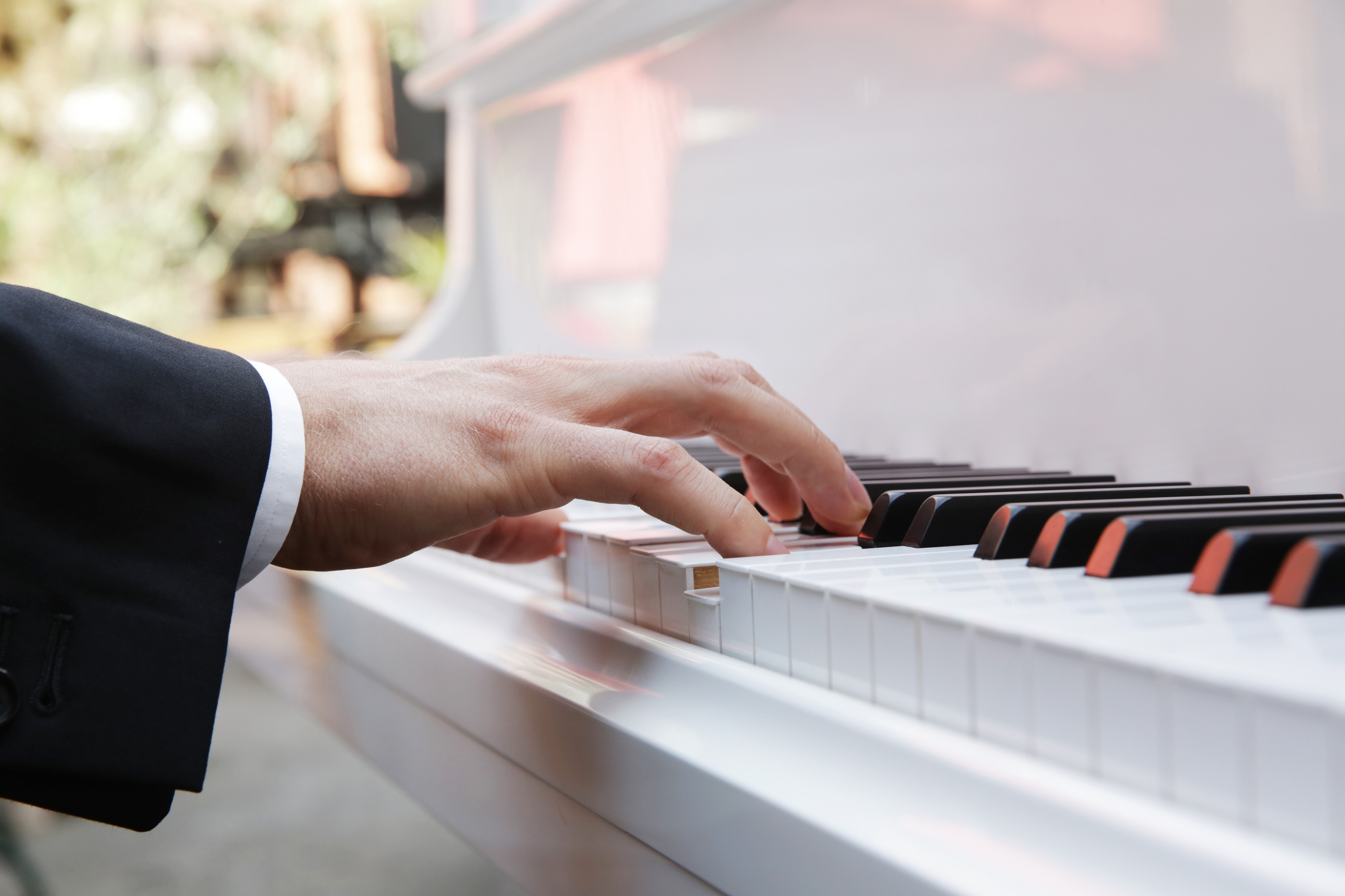 The Musical Webb | My Most Recommended Keyboards for Learning Piano