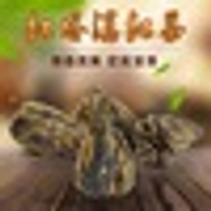 One Bud Ye Hongta from Han Xiang Ecological Tea Co.