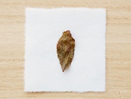 Gold Peony Rolled Leaf from Song Tea & Ceramics